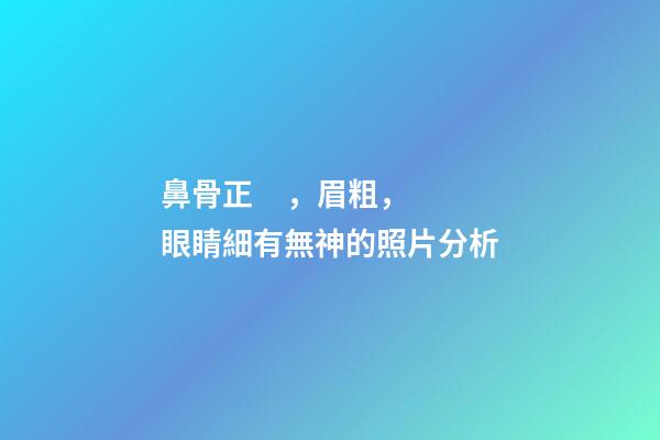 鼻骨正，眉粗，眼睛細有無神的照片分析